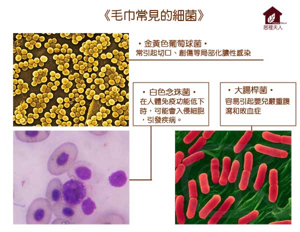 毛巾保養,滋生細菌